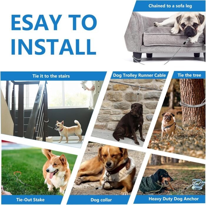20ft Tie Out Dog Leash