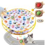 2pcs Interactive cat ball with mat