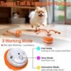 718DVBcDQjL._AC_SL1500_ Smart Interactive Dog Ball