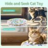 2pcs Interactive cat ball with mat