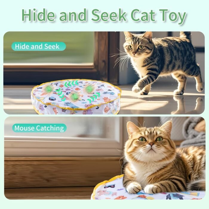 2pcs Interactive cat ball with mat