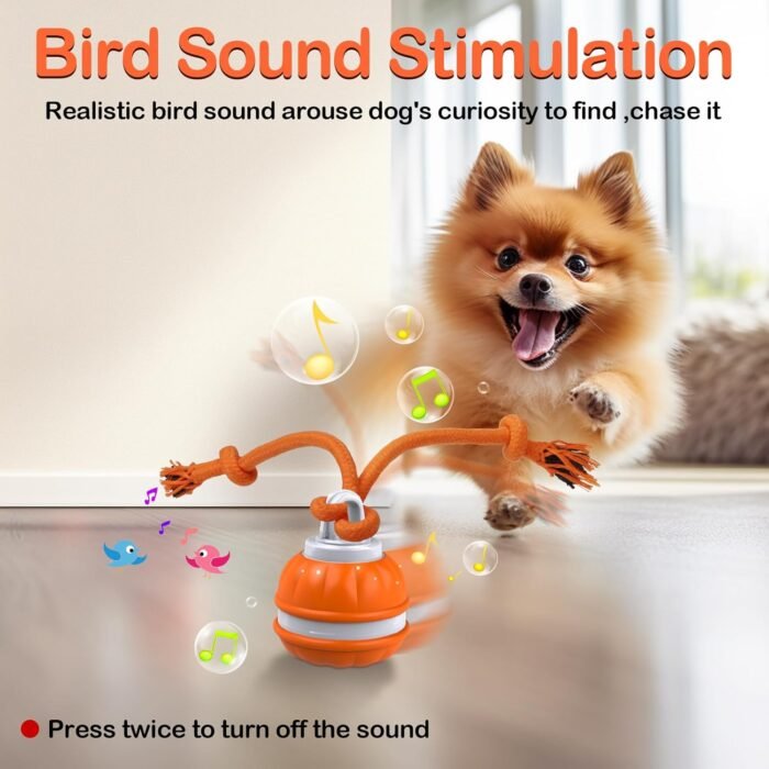 71gQf1DqytL._AC_SL1500_ Smart Interactive Dog Ball