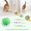 2pcs Interactive cat ball with mat
