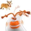未标题-1 Smart Interactive Dog Ball