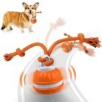 Smart Interactive Dog Ball