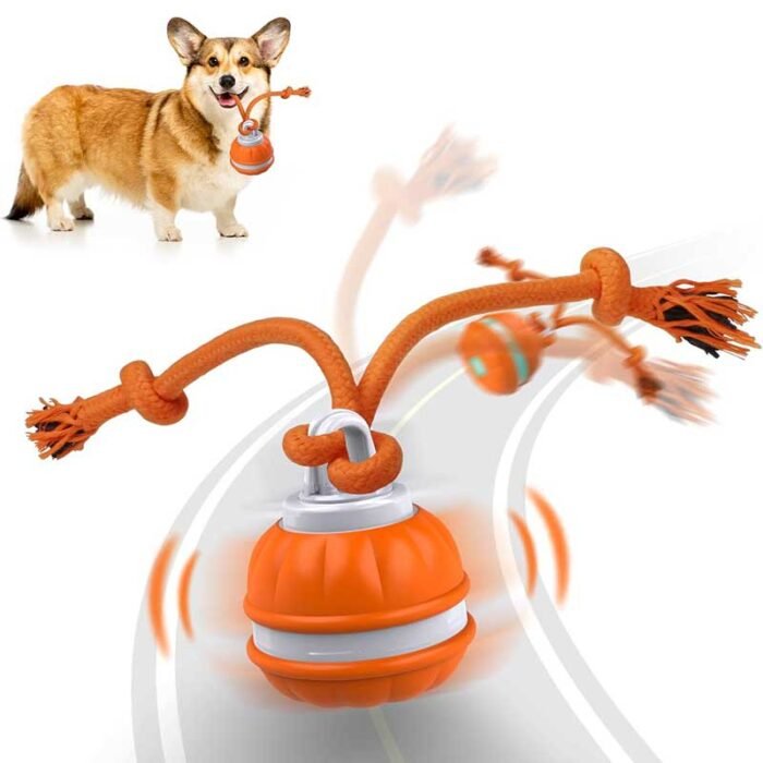 Smart Interactive Dog Ball