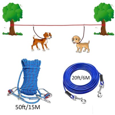 Outdoor Camping Dog Tie Out Set